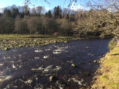 The River South Tyne at Stonecrop