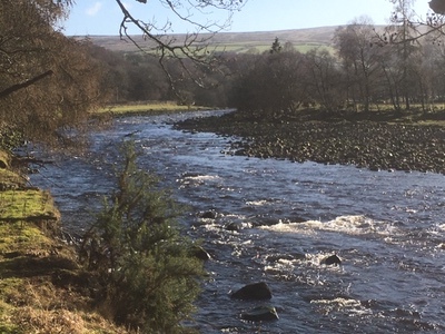 The River South Tyne at Stonecrop