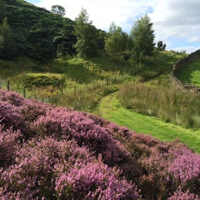 View around Stonecrop.