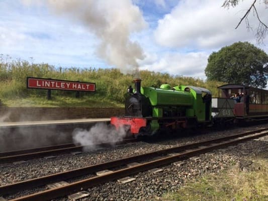 South Tynedale Railway - Lintley Halt.