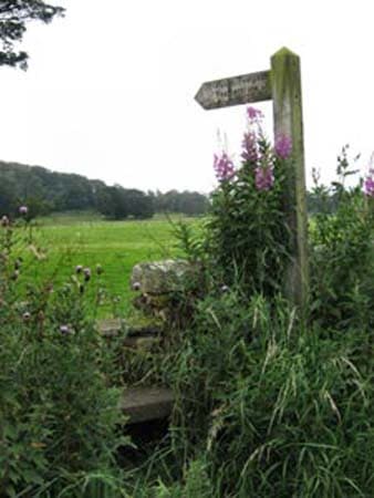 Views in, of and around Stonecrop