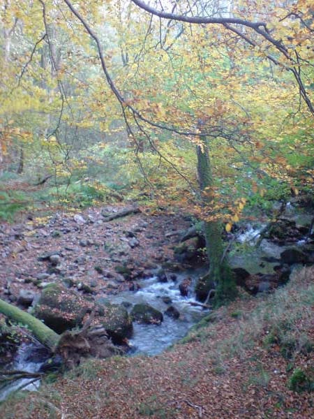 Views in, of and around Stonecrop