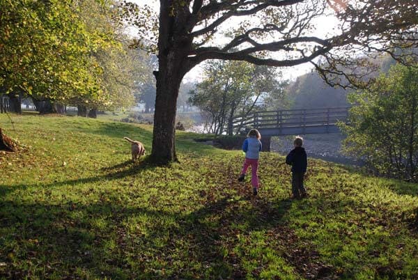 Views in, of and around Stonecrop
