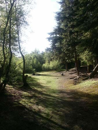 Views in, of and around Stonecrop