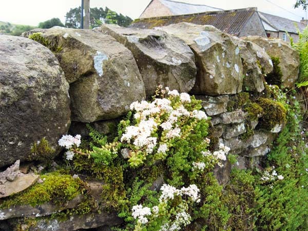 Views in, of and around Stonecrop